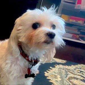 Meet your Posher, Nikki